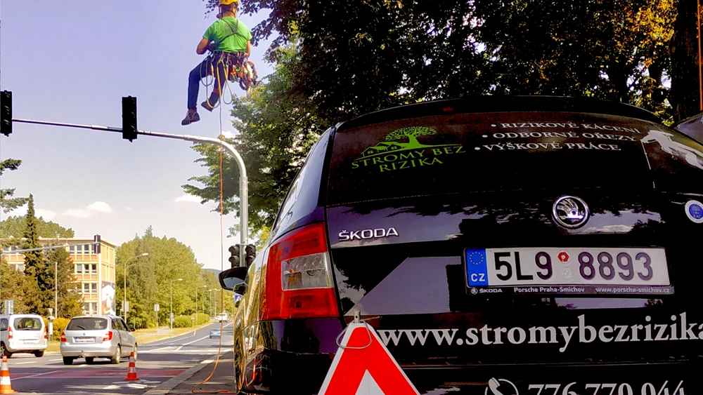 arborista slaňuje ze stromu na silnicí